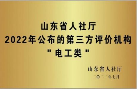 山東澤能電力科技公司項目介紹